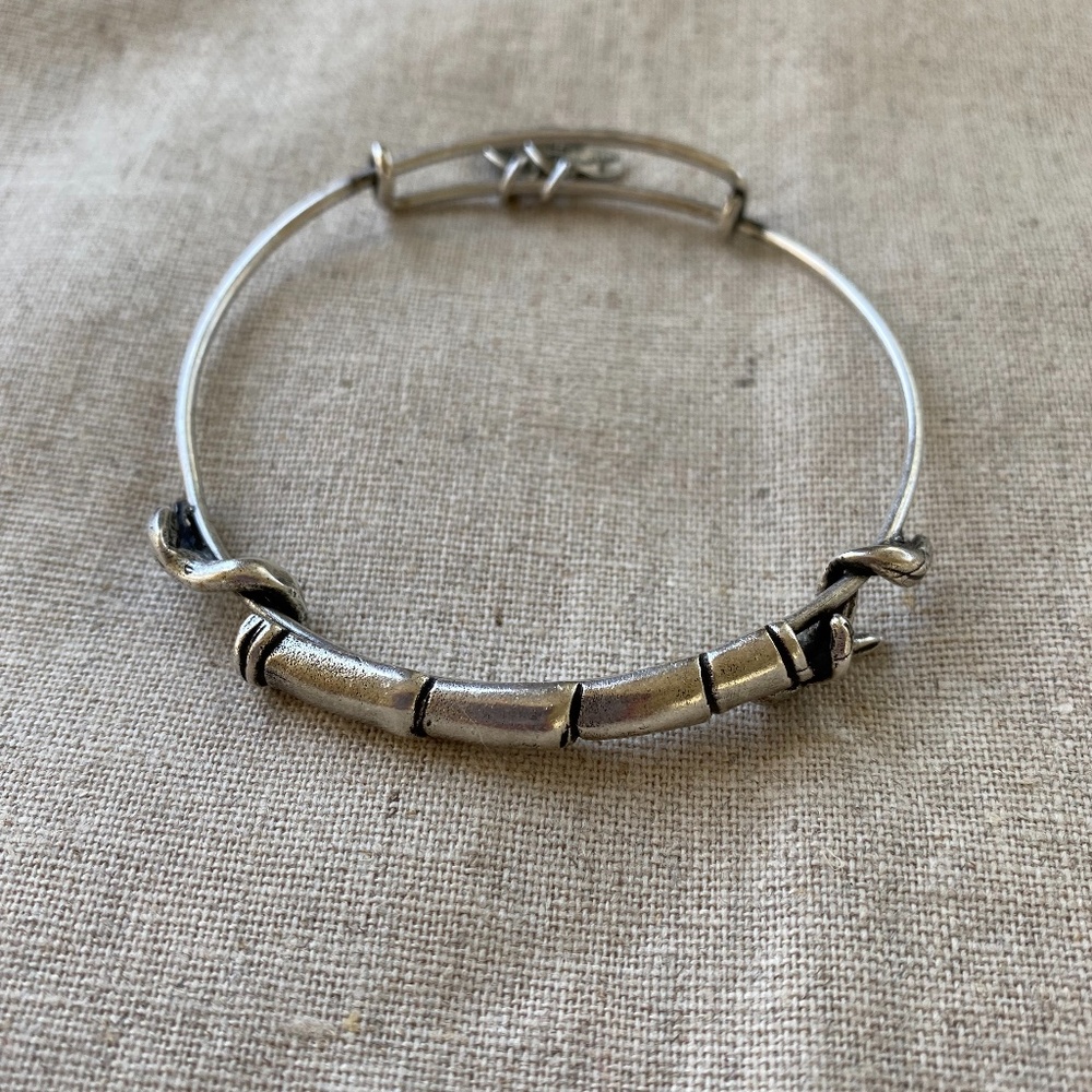 Alex and Ani, Lucky Bamboo Bangle.